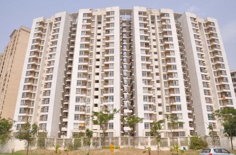 DLF
